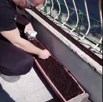 Roberto coltiva in terrazza